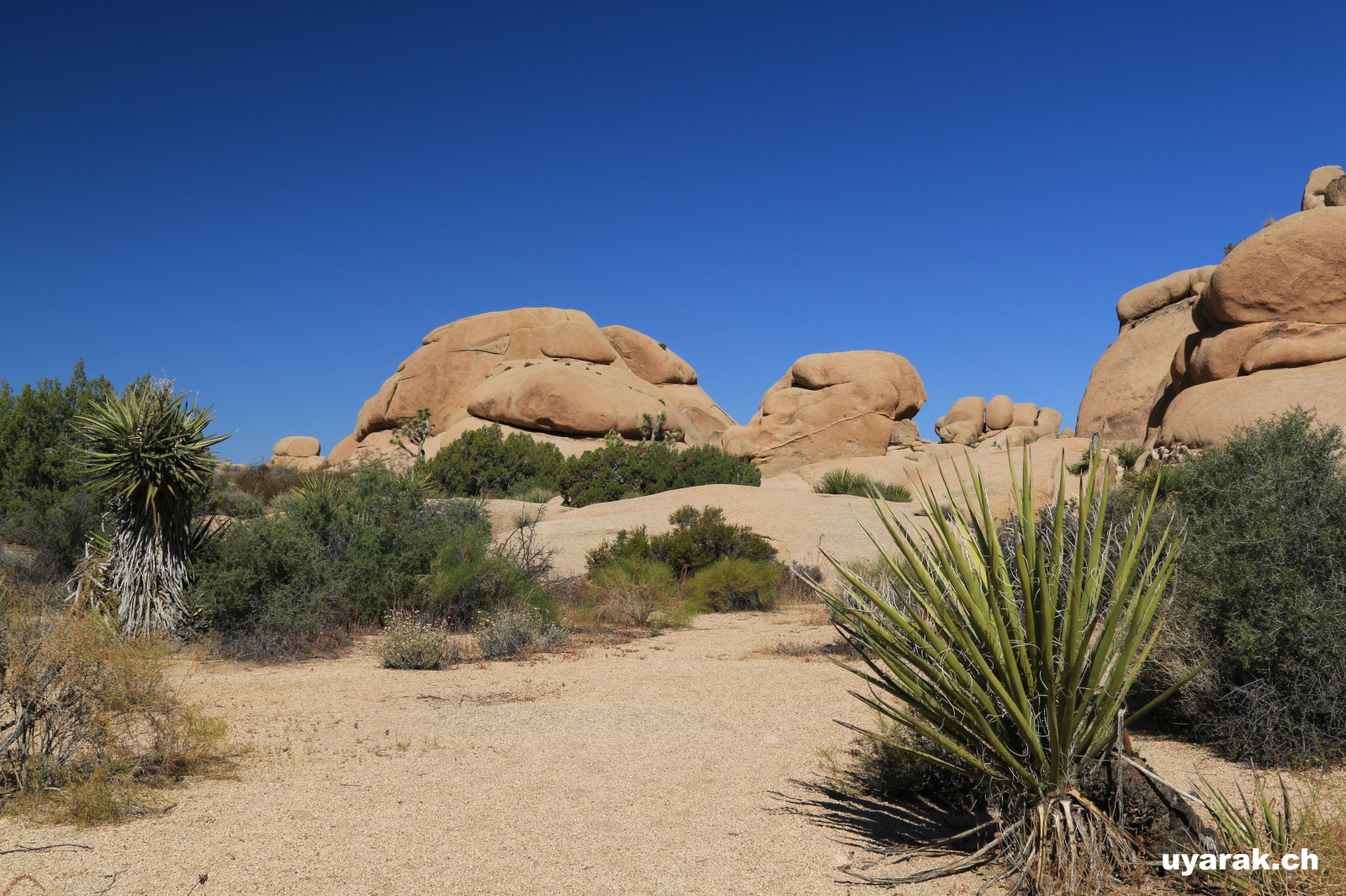 Joshua Tree National Park, California