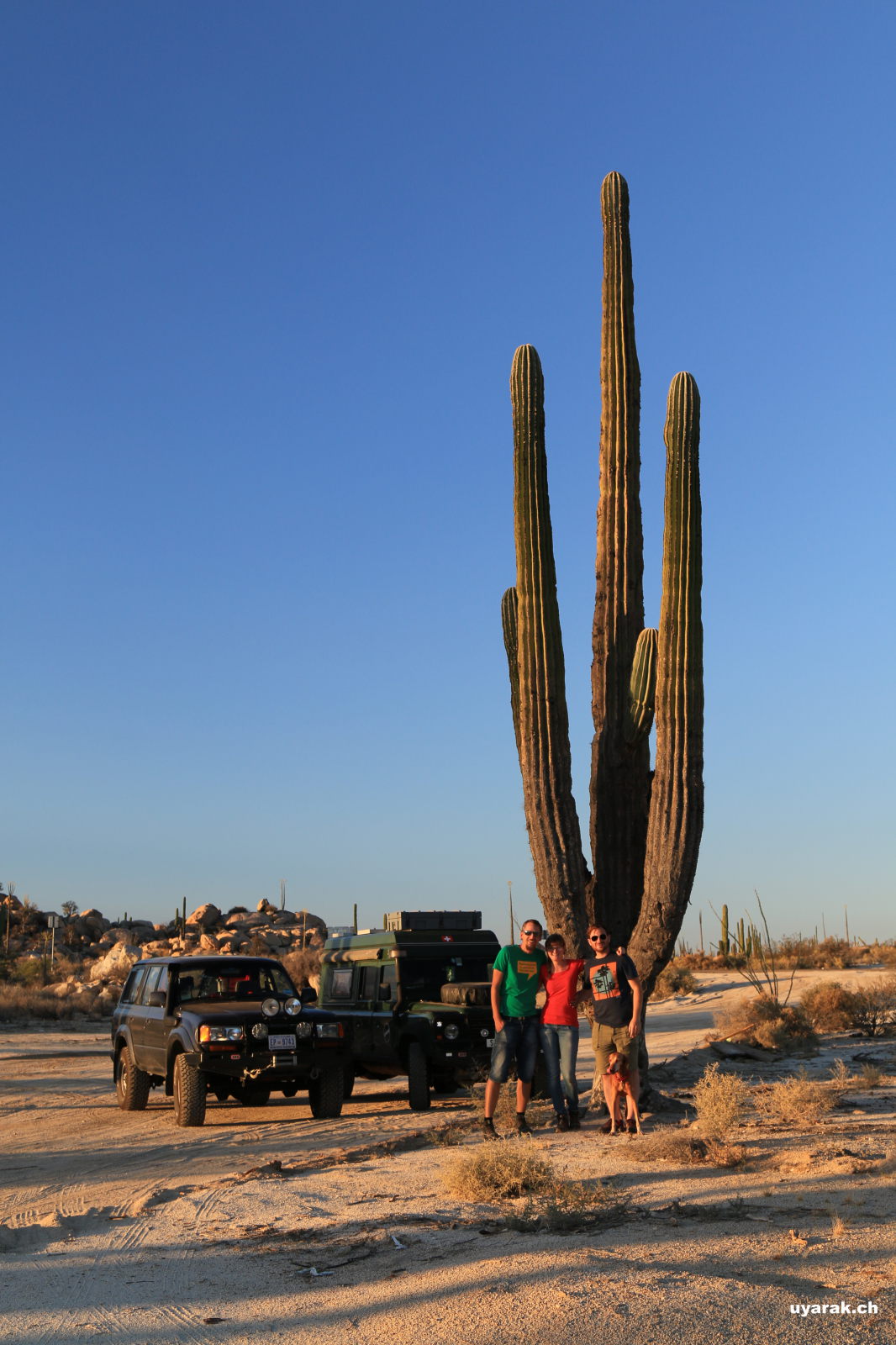 Pachycereus Pringlei, Parque Nacional del Desierto Central de Baja California