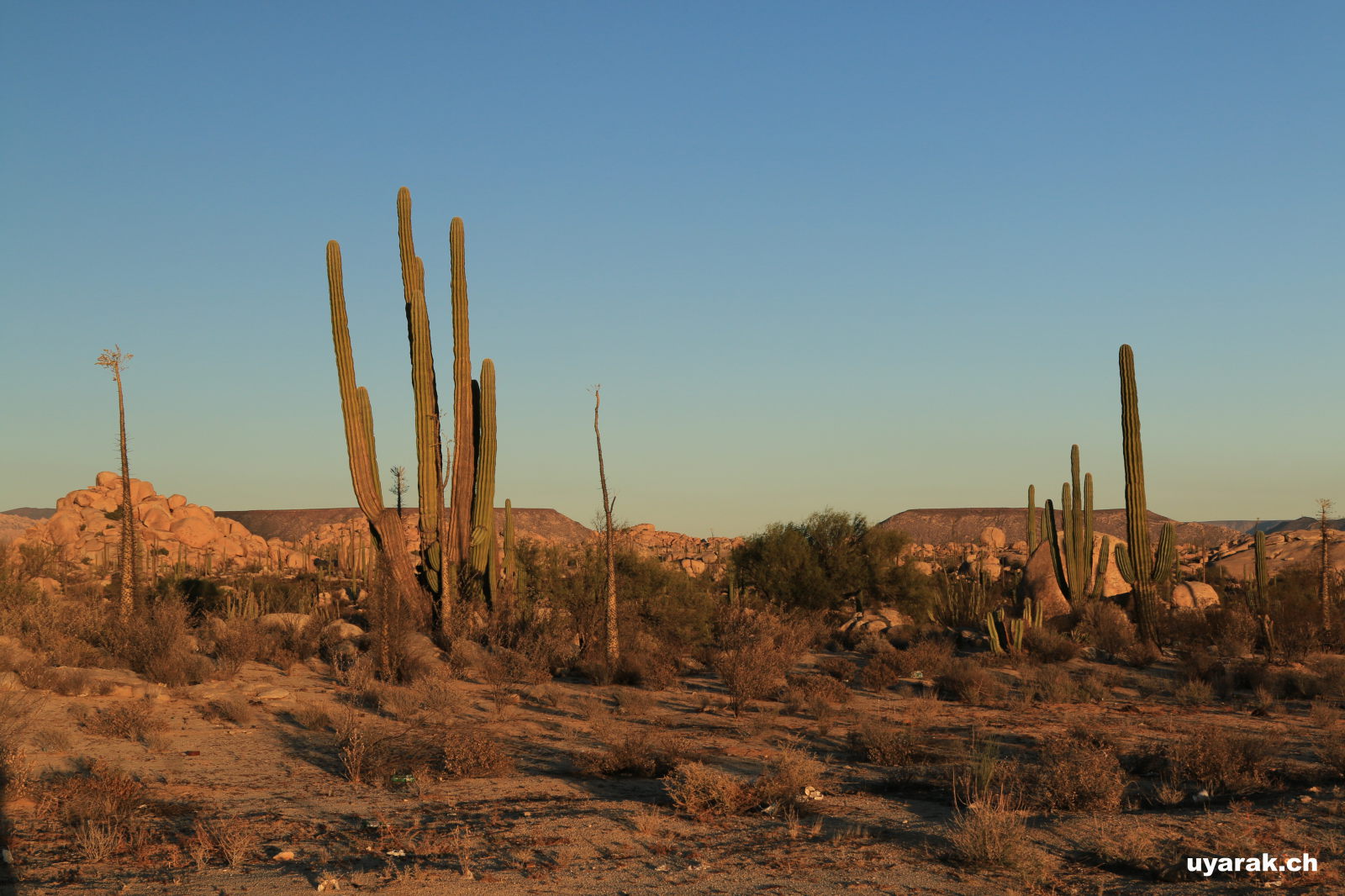 Parque Nacional del Desierto Central de Baja California