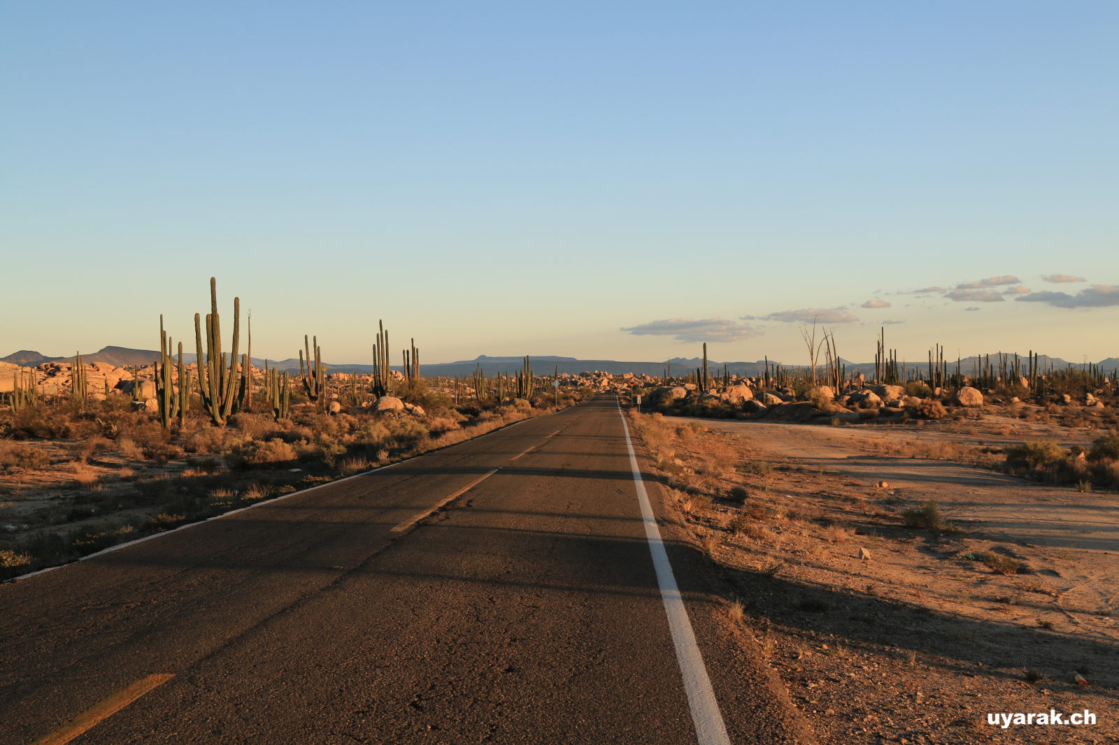 MEX 1, Parque Nacional del Desierto Central de Baja California