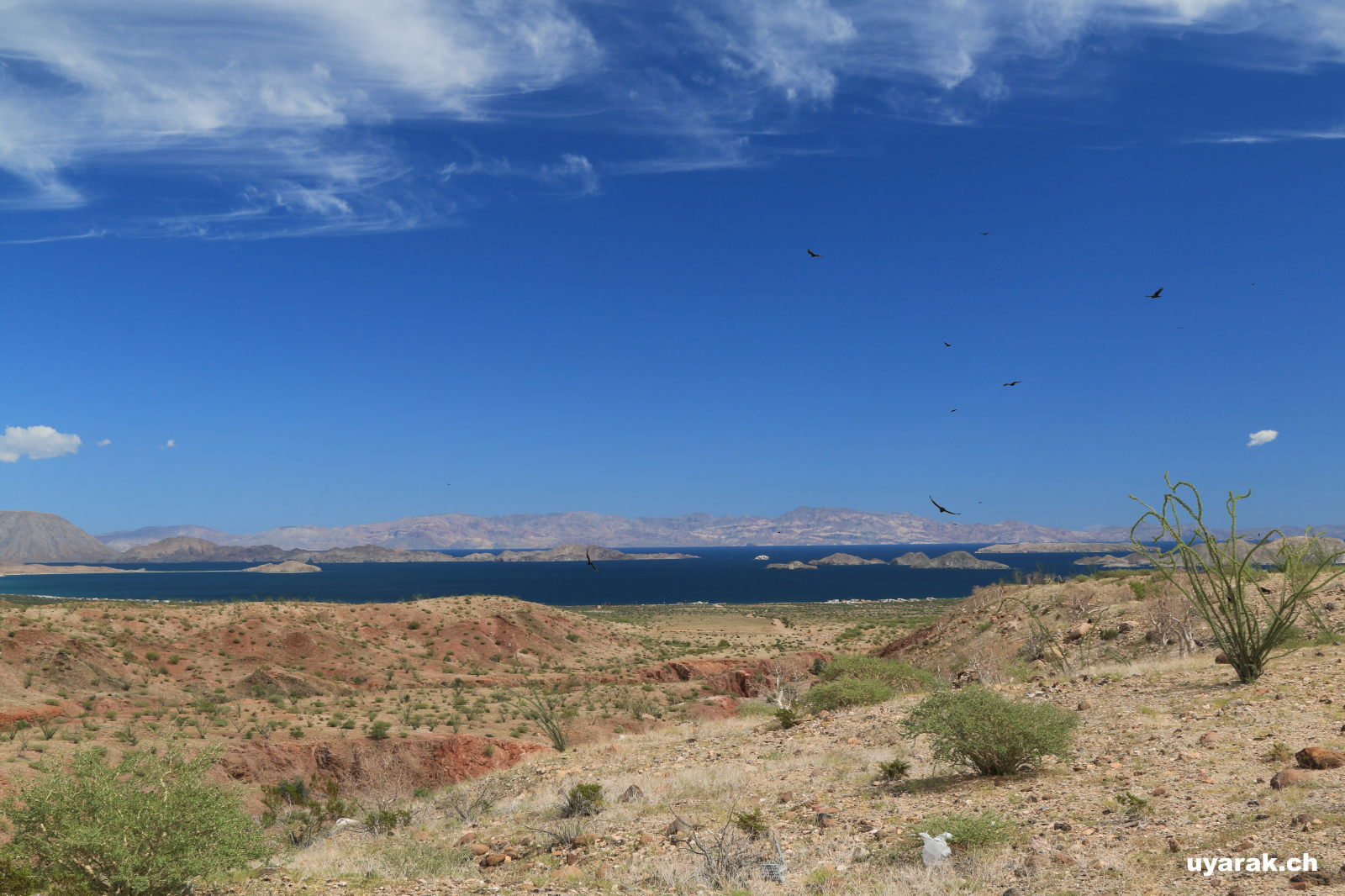 Bahía de los Ángeles, Baja California