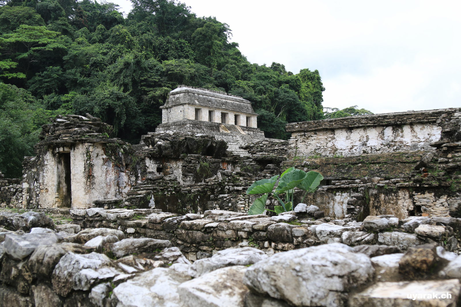 Templo de las Inscripciones (Bʼolon Yej Teʼ Naah), Palenque, Chiapas, Mexiko