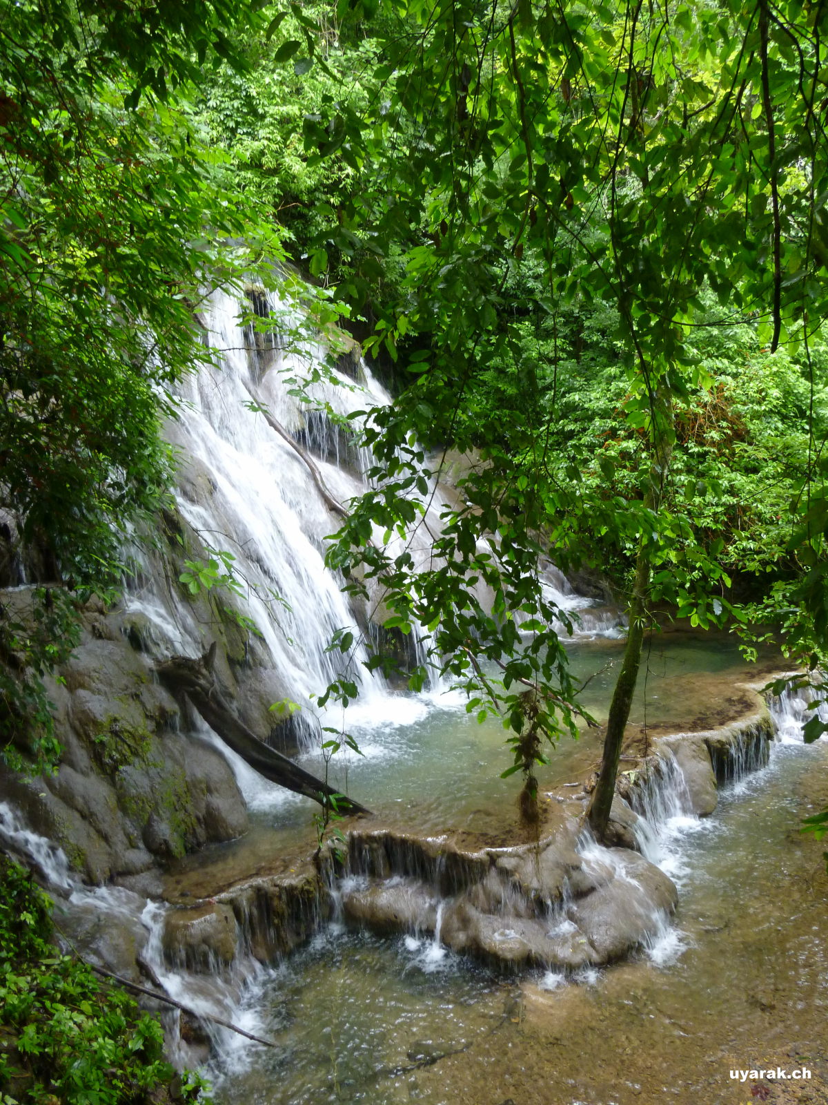Cascadas Sombrillas, Palenque, Chiapas, Mexiko