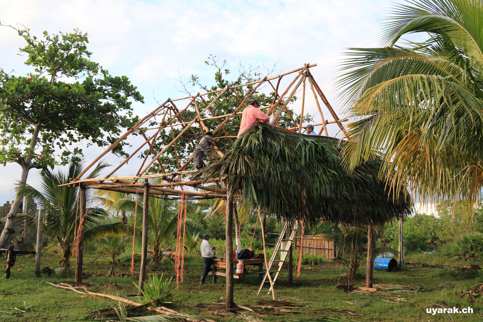 So baut man eine Palapa, Hopkins, Belize