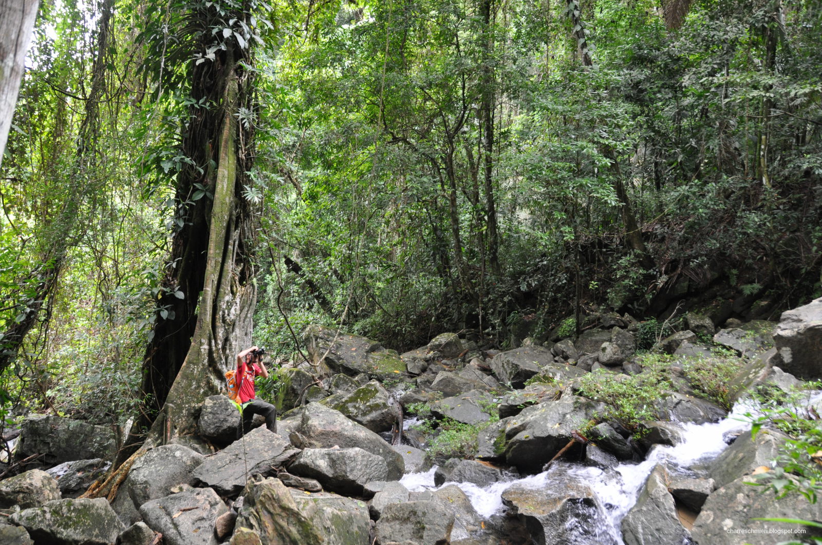 Wanderung im Mayflower Bocawina National Park, Belize