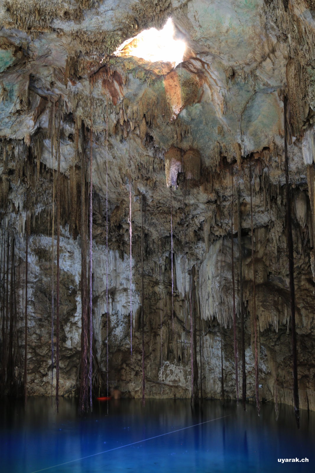 Xquequen Cenote, Valladolid, Yucatan, Mexiko