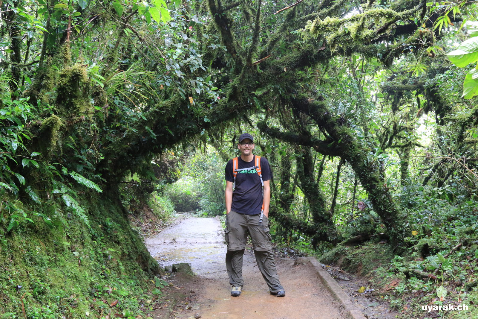 Wanderung durchs Reserva Biológica Bosque Nuboso Monteverde, Costa Rica