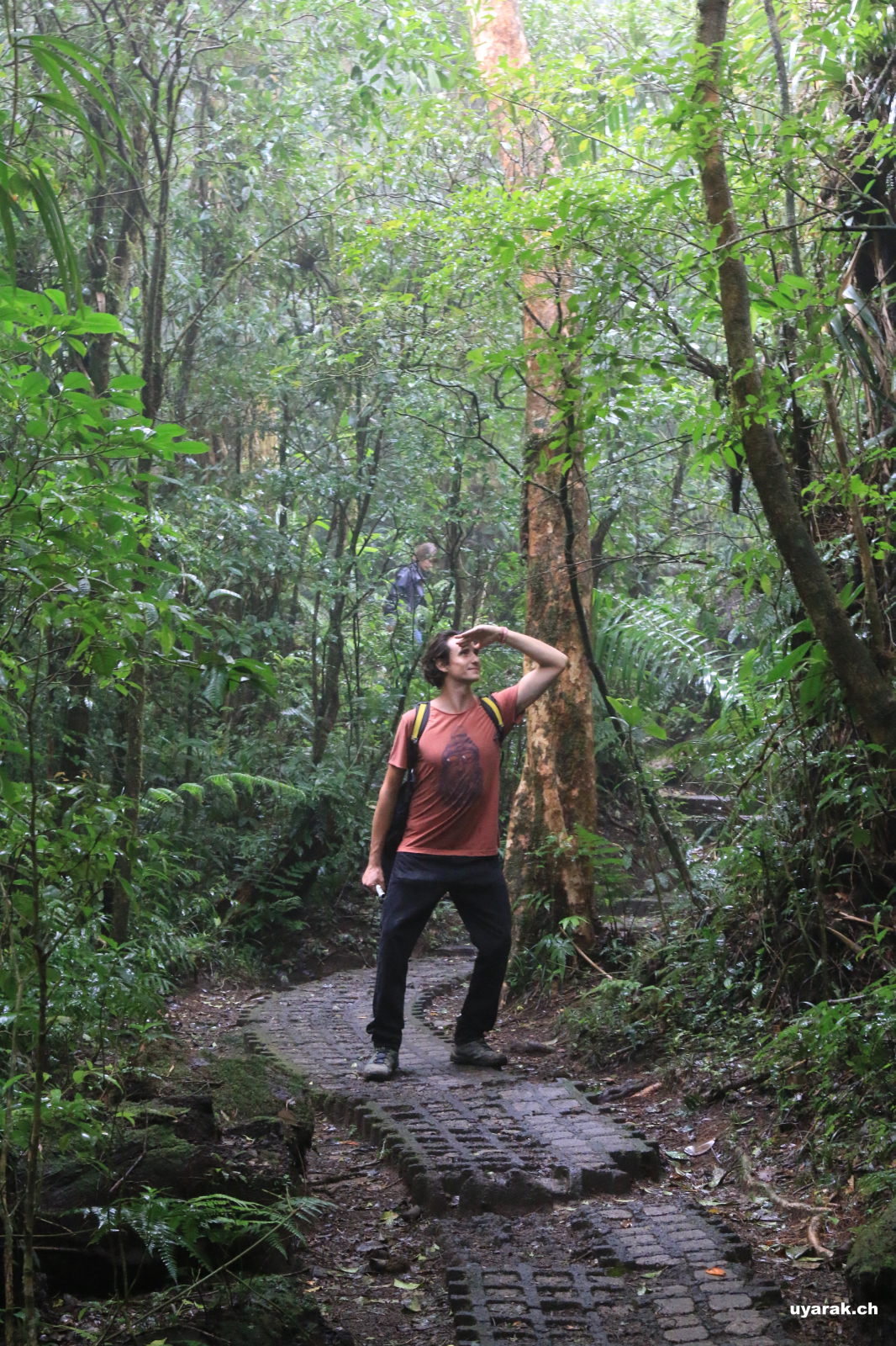 Constantin der Entdecker, Reserva Biológica Bosque Nuboso Monteverde, Costa Rica