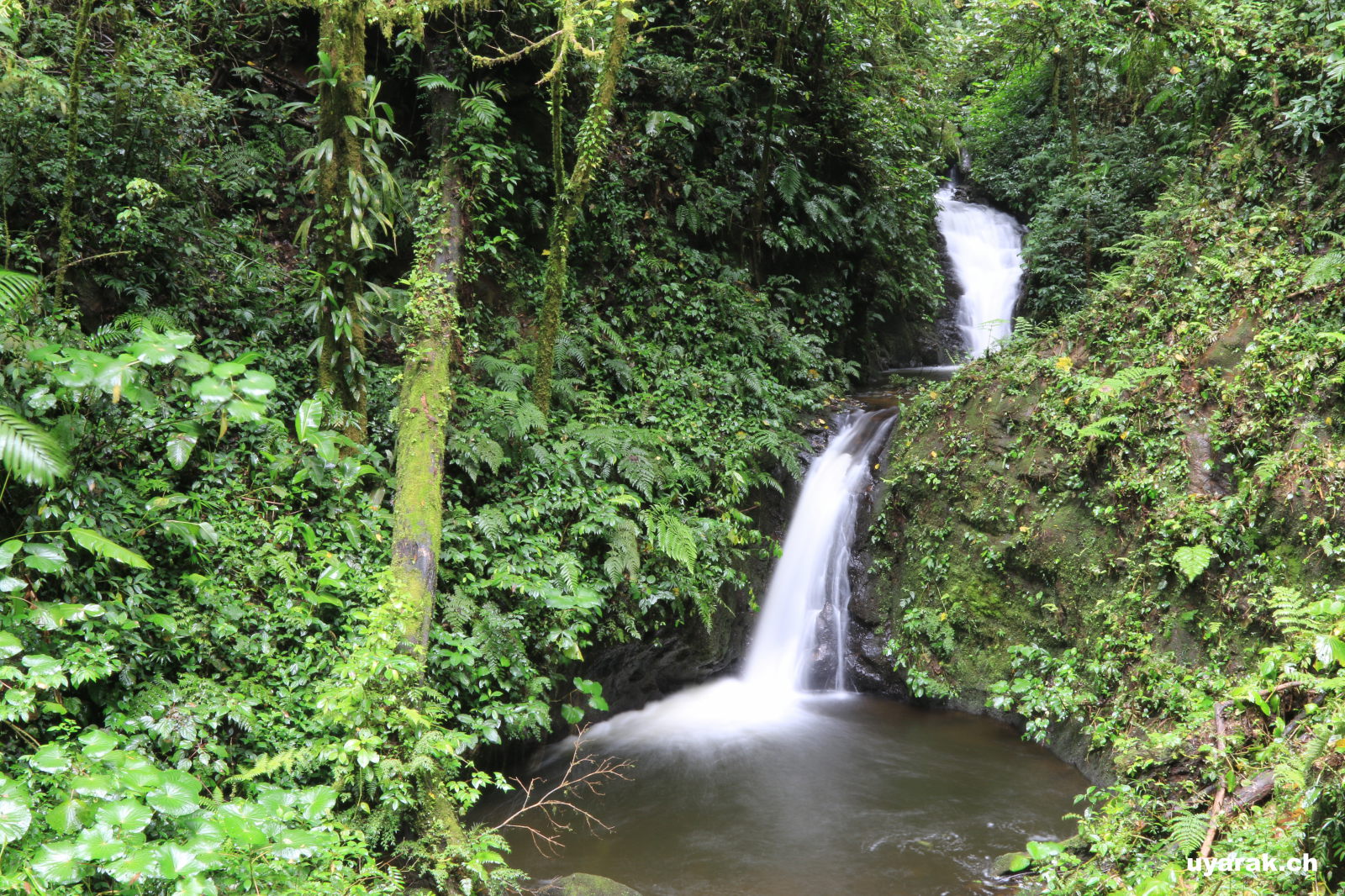 Wanderung durchs Reserva Biológica Bosque Nuboso Monteverde, Costa Rica
