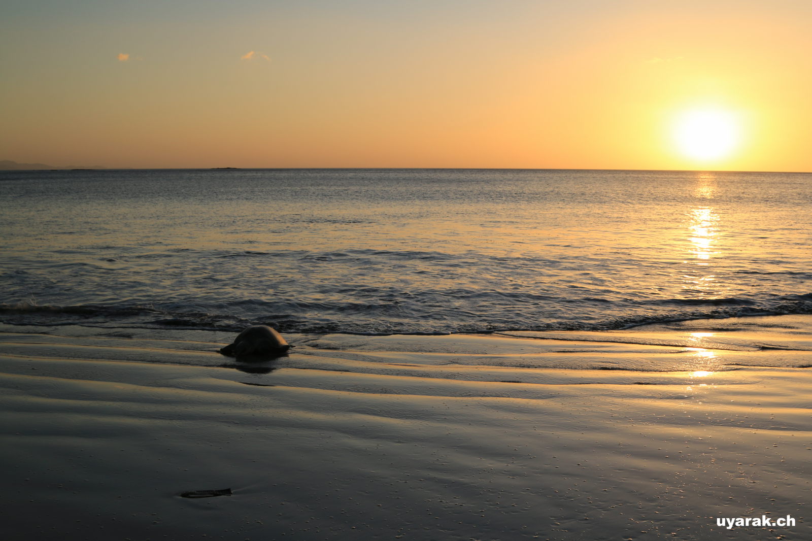 Sonnenuntergang am Playa La Flor, Nicaragua