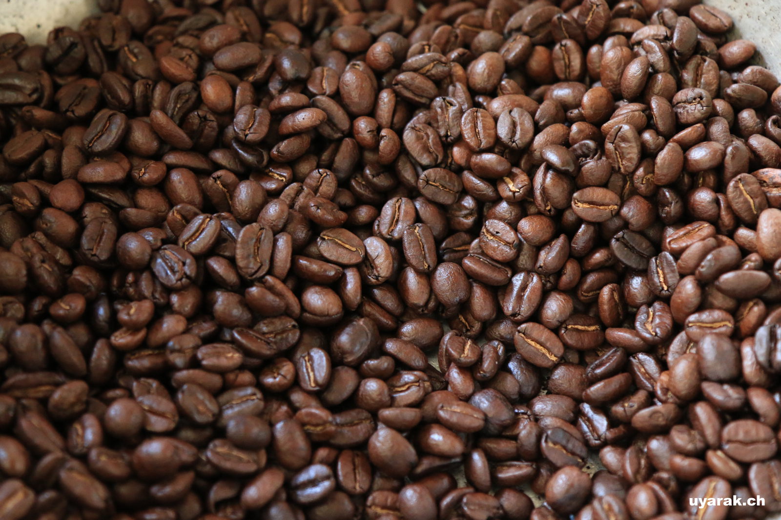 Geröstete Kaffeebohnen, Salento, Kolumbien 