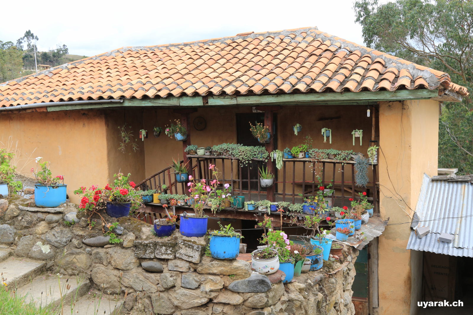 Spaziergang bei Ingapirca, Ecuador 