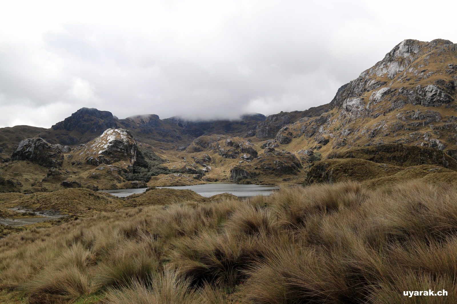 Wanderung im Parque Nacional Cajas, Ecuador 