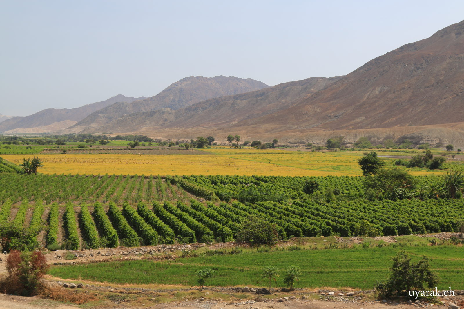 Am Río Santa angekommen, Ruta 123, Peru