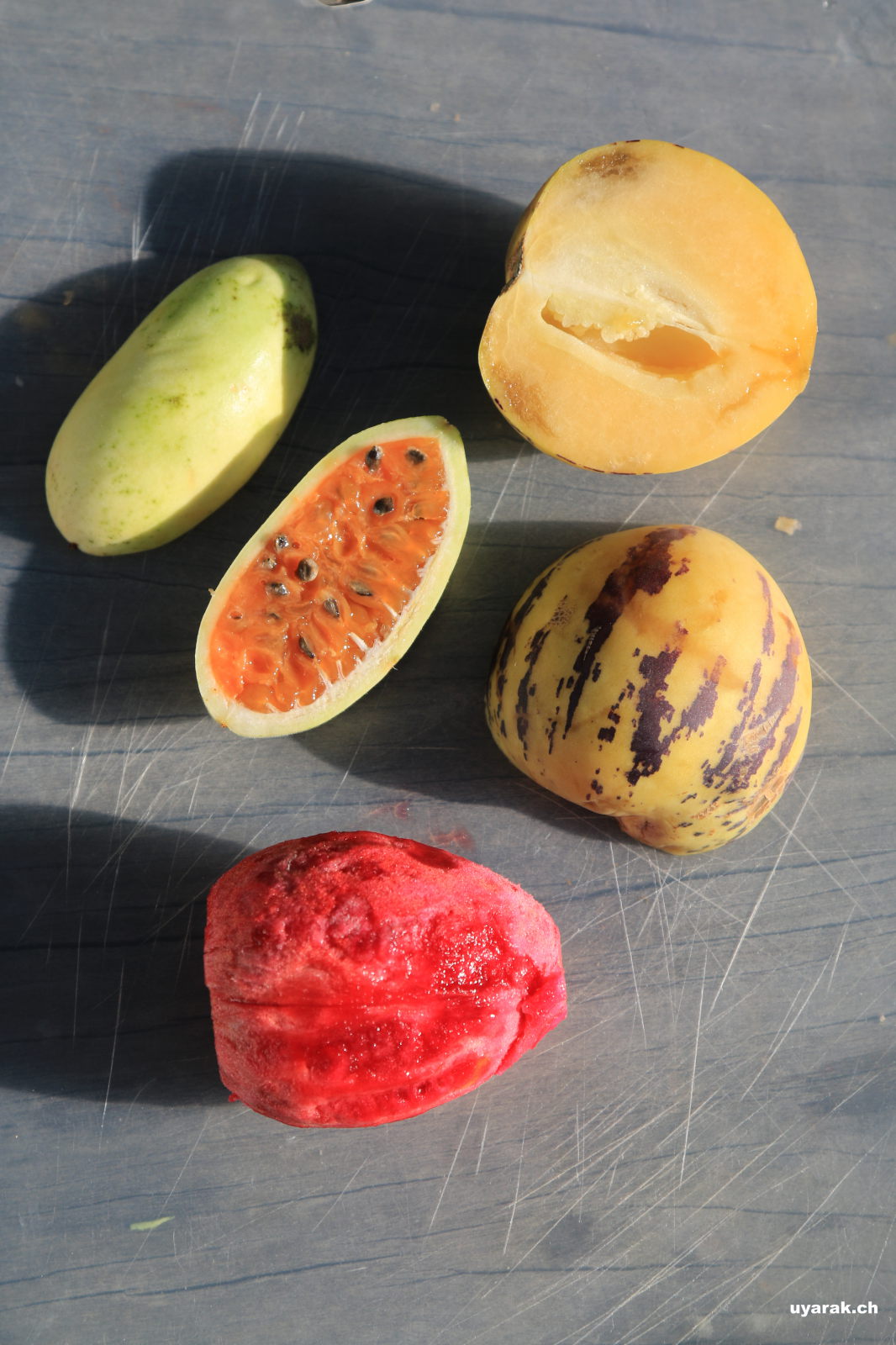 Feine Früchte probieren, La Paz, Bolivien