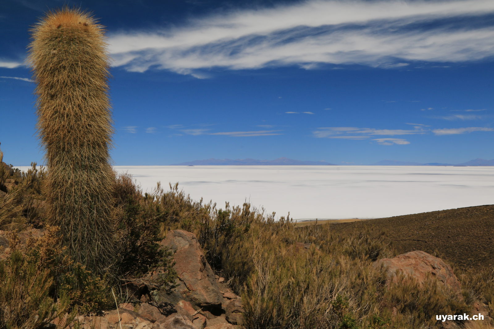 Blick vom Vulkan Tunupa auf die Salar de Uyuni, Bolivien