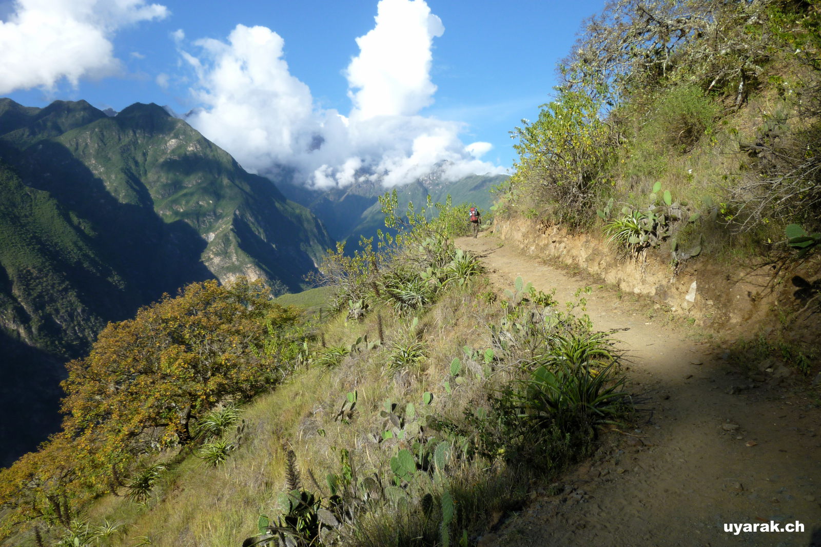 Auf dem Rückweg von Choquequirao nach Cachora, Peru