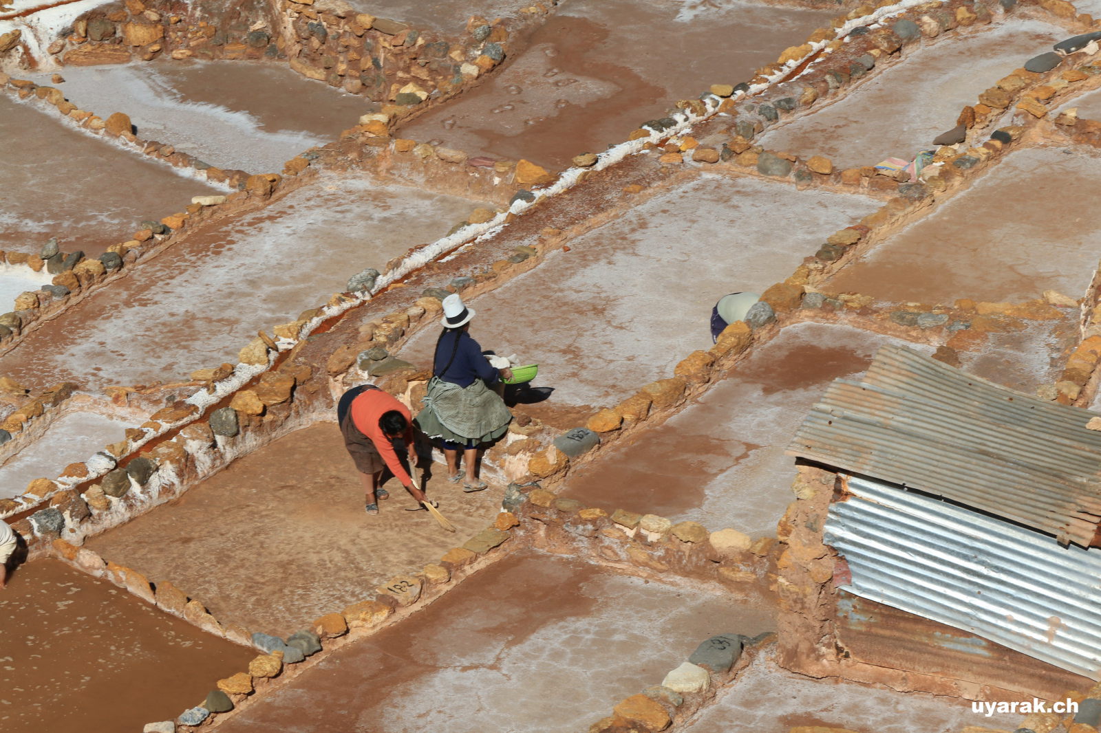 Salzterrassen von Pichingoto, Peru