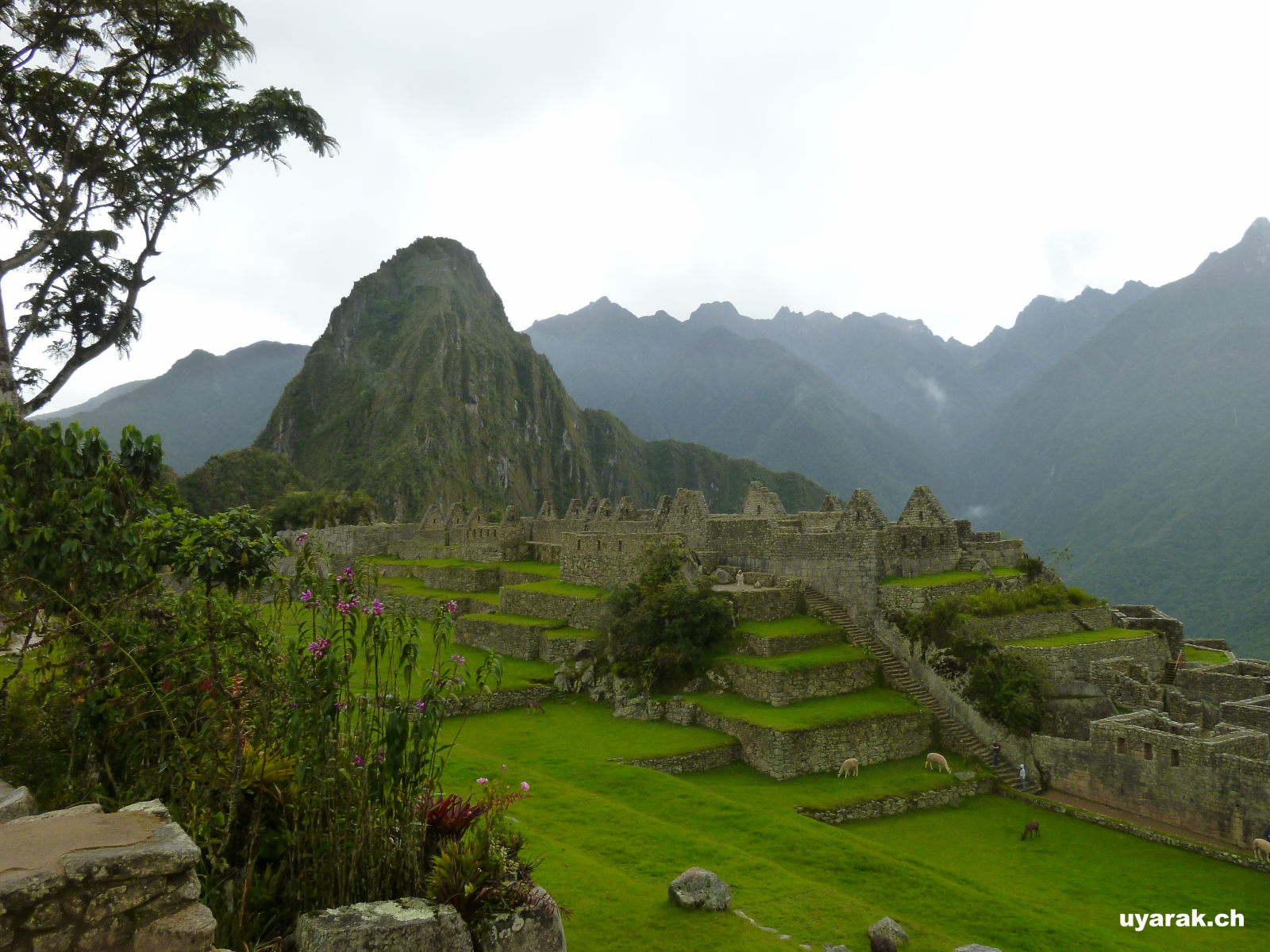 Machu Picchu, Peru