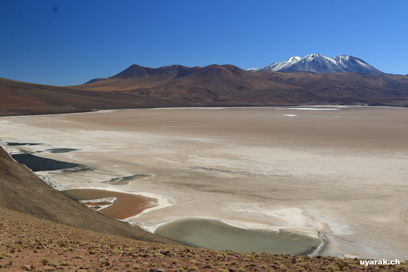 Von der Bolivianischen Grenze nach Calama, Chile
