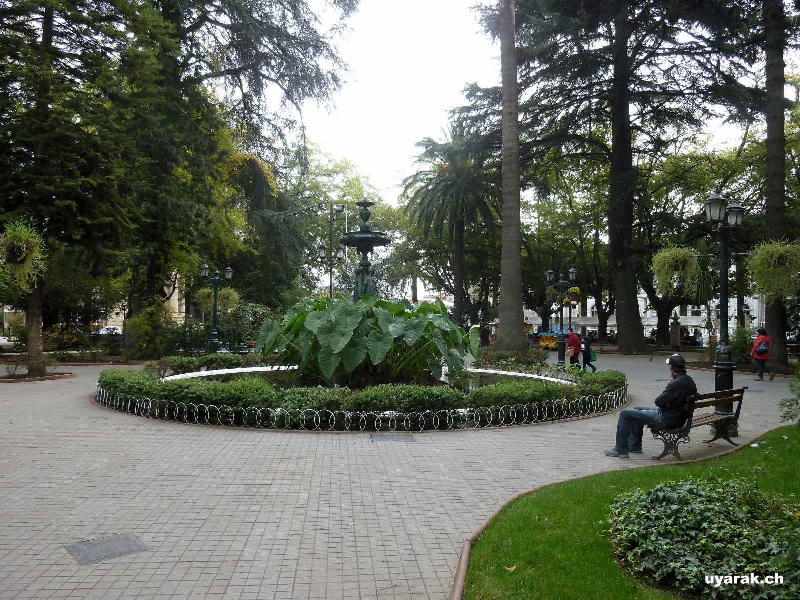Auf dem Hausberg von Curico, Chile