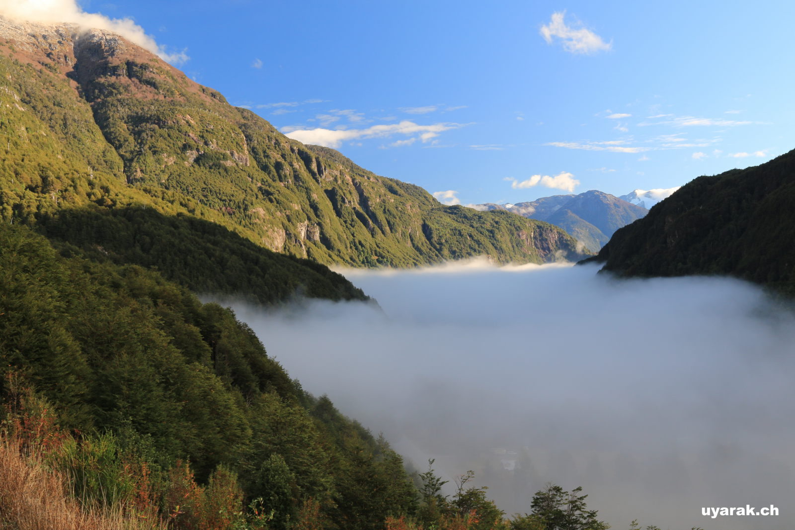 Nebel auf der Carretera Austral, Chile