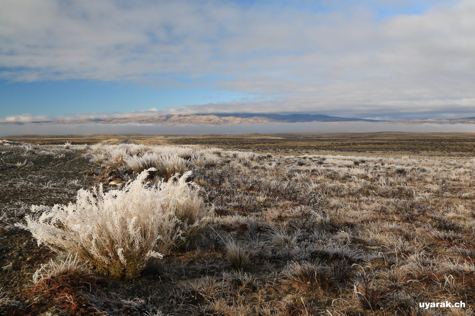 Unterwegs von El Calafate zum Perito-Moreno-Gletscher, Argentinien