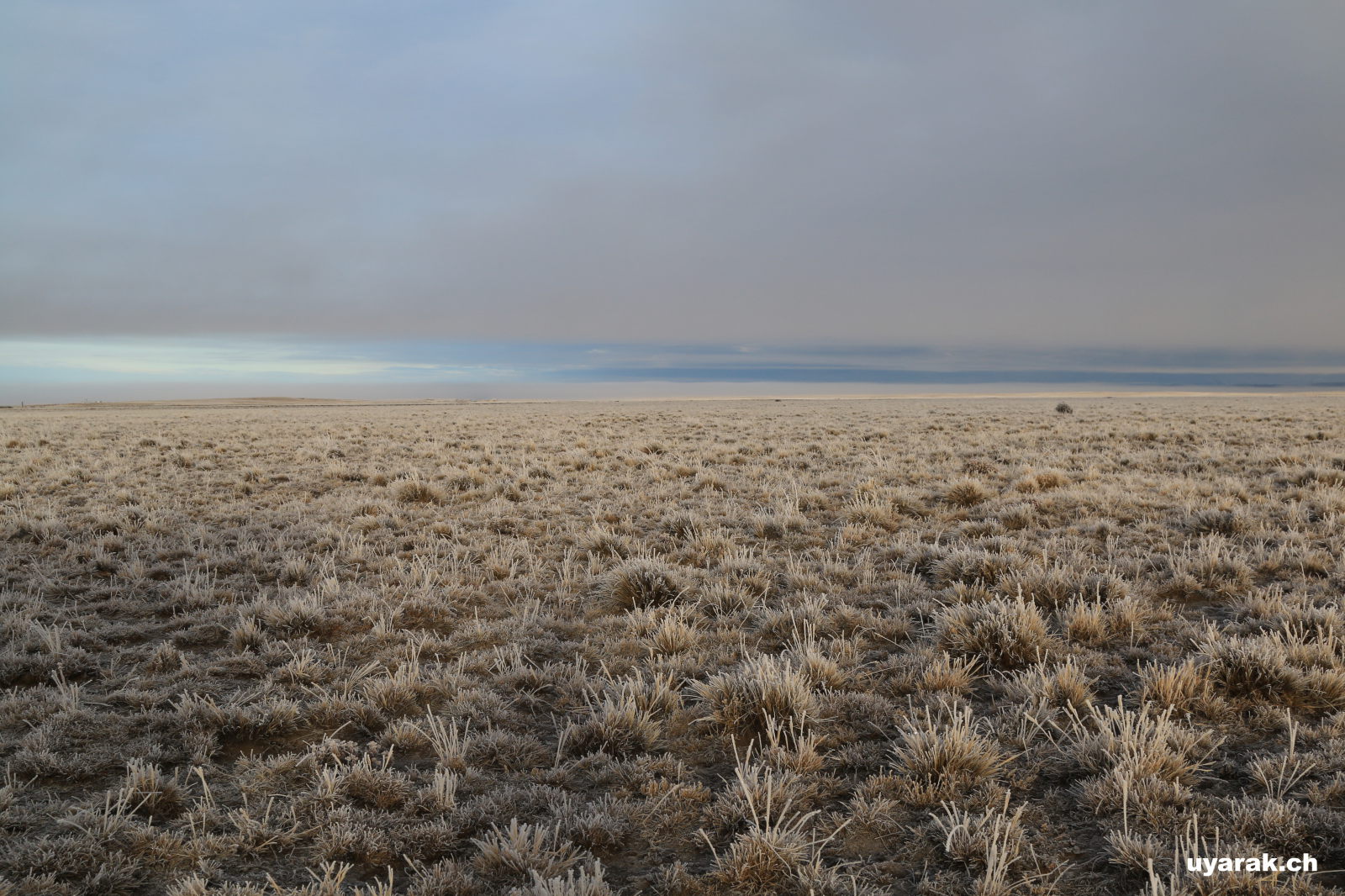 Kalter Morgen bei Tapi Aike, Argentinien