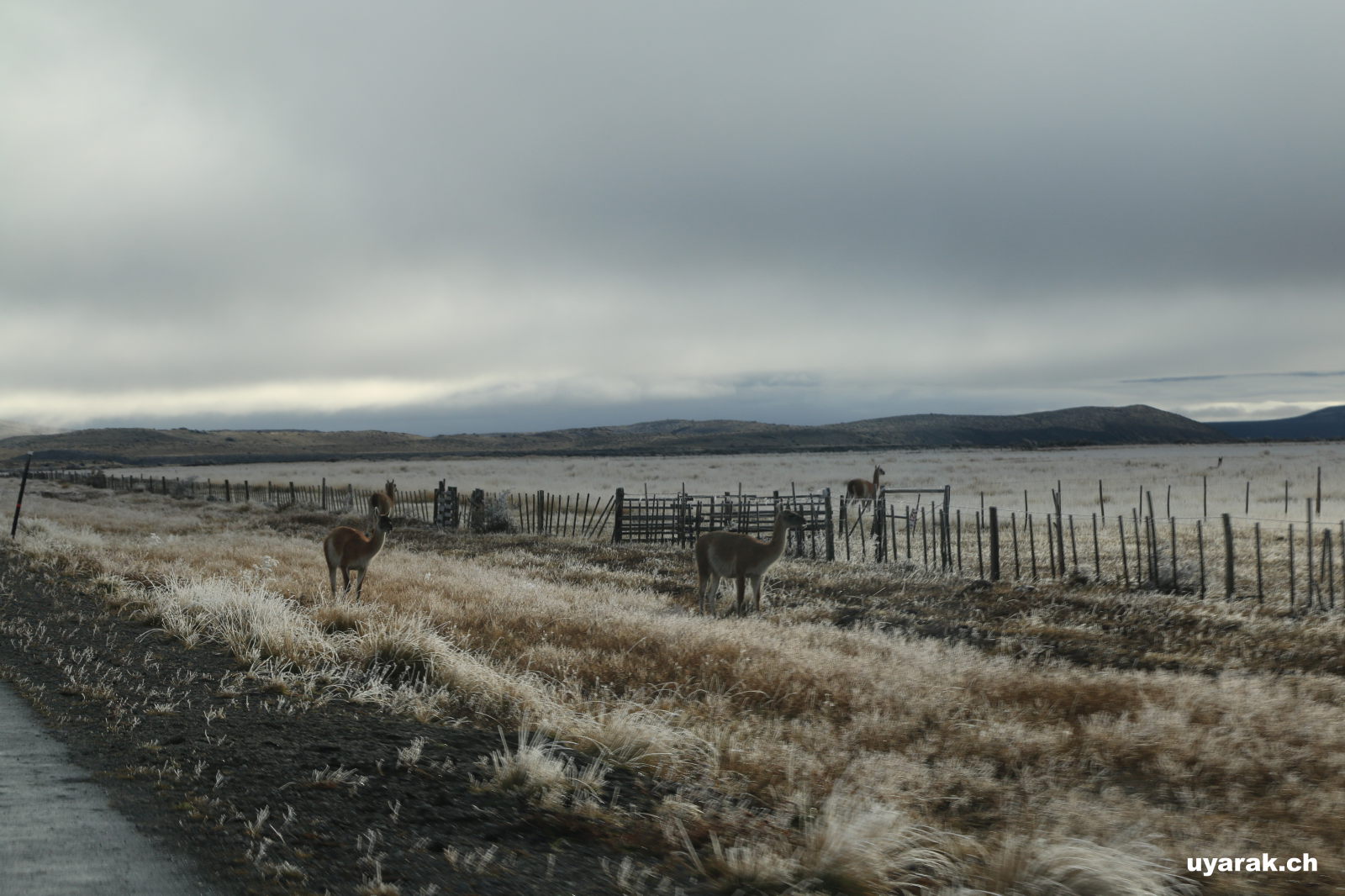 Unterwegs zum Parque Nacional Torres del Paine, Chile