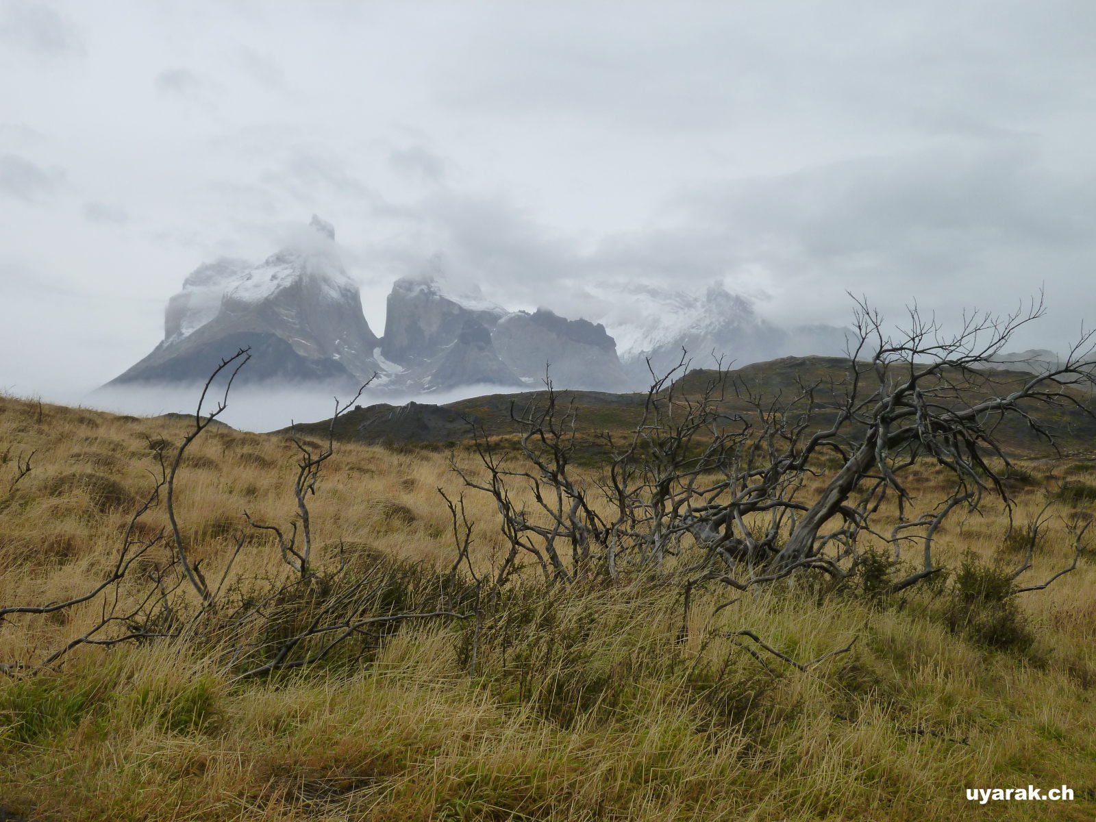 Kein Wetterglück im Parque Nacional Torres del Paine, Chile