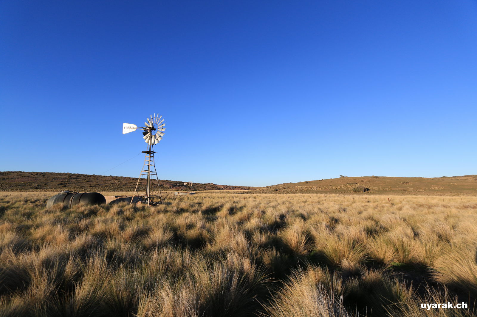 Auf der RP1 nach Norden, Camping wo im Sommer die Kühe weiden, Argentinien 