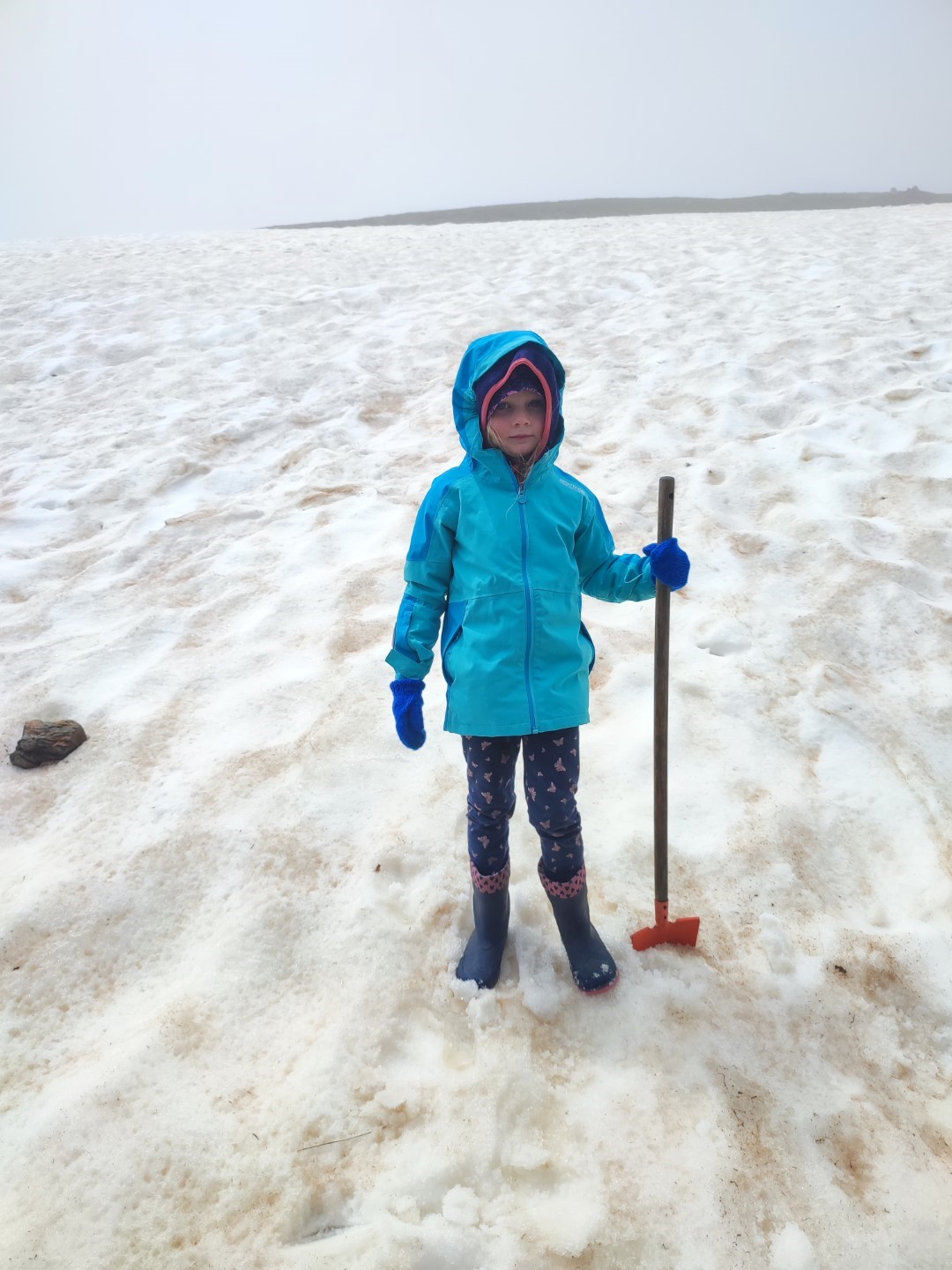 Schneeschaufeln auf dem _Port de la Boneigua_ 