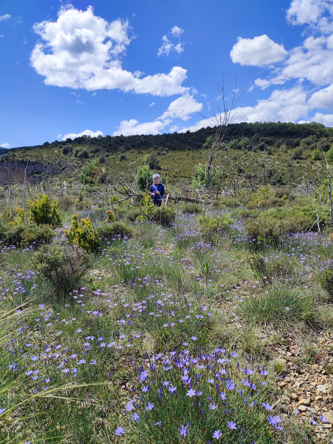 Kleine Wanderung im Parc Natural de Guarra 