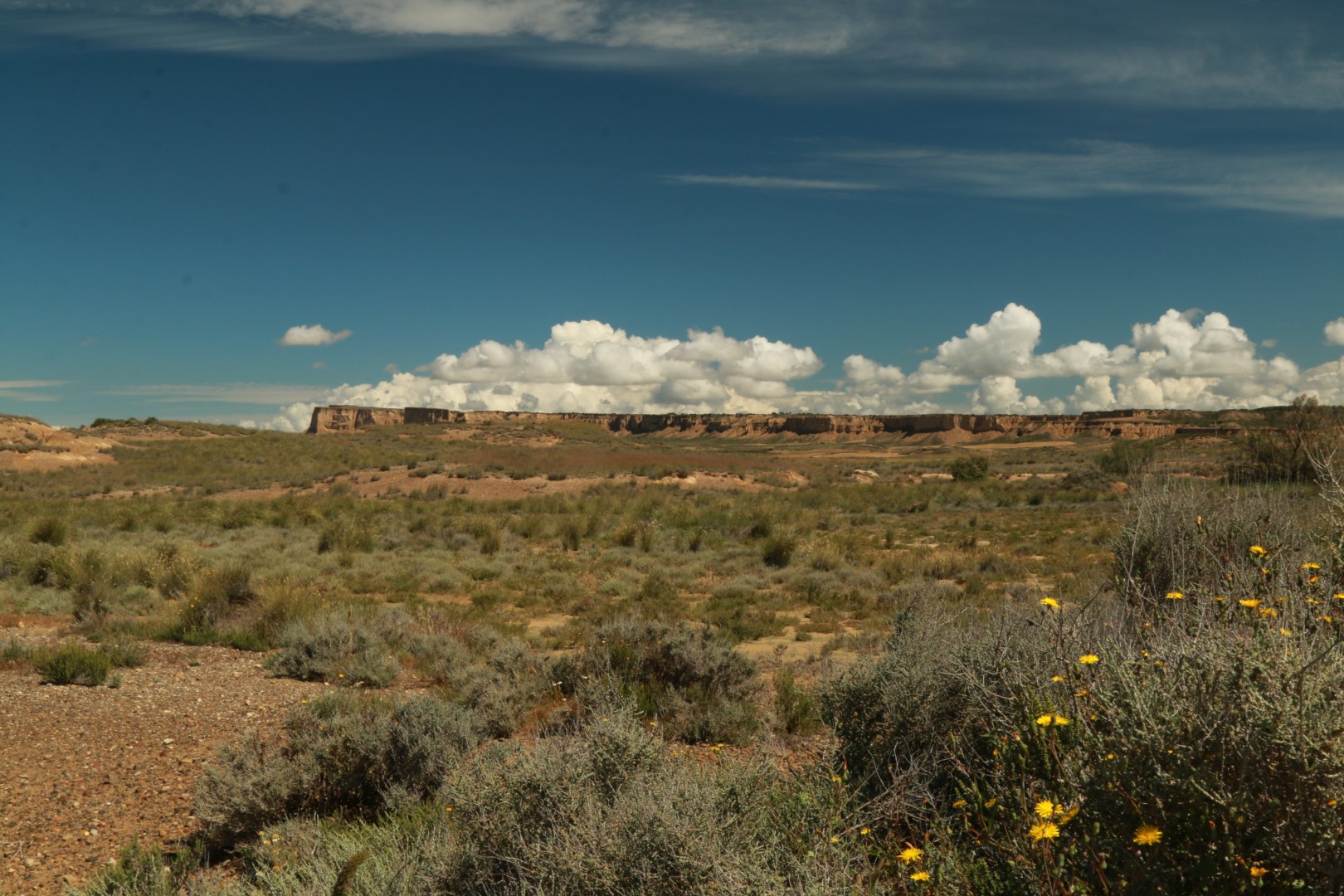 Bardenas Reales 